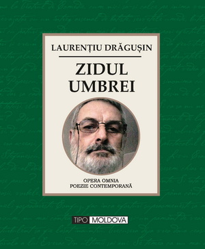 coperta carte zidul umbrei de laurentiu dragusin
